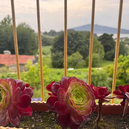 Casa Da Avo Quina - Seixas Coura (Caminha)