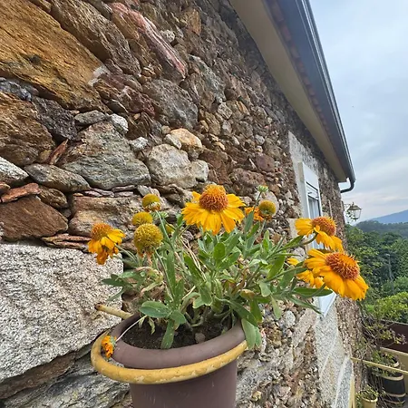 Casa Da Avo Quina - Seixas *