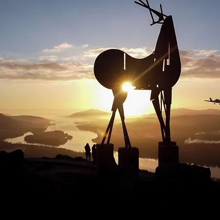 Casa Da Avo Quina - Seixas Holiday home *