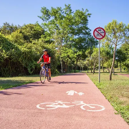 Casa Da Avo Quina - Seixas Holiday home *