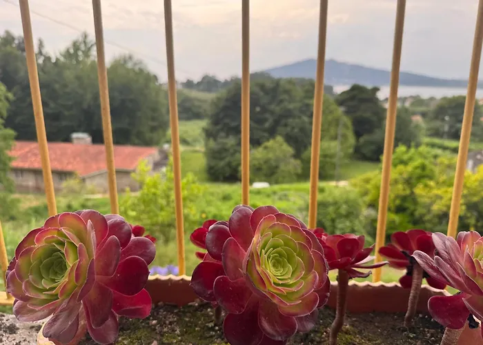 Casa Da Avo Quina - Seixas Coura (Caminha)