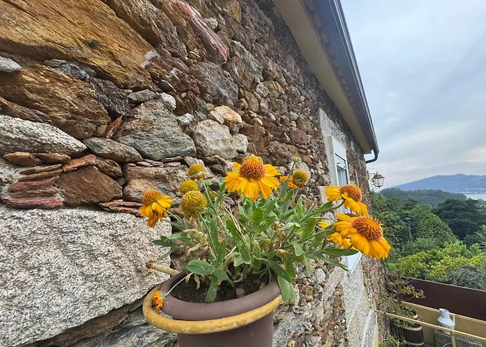 Casa Da Avo Quina - Seixas *