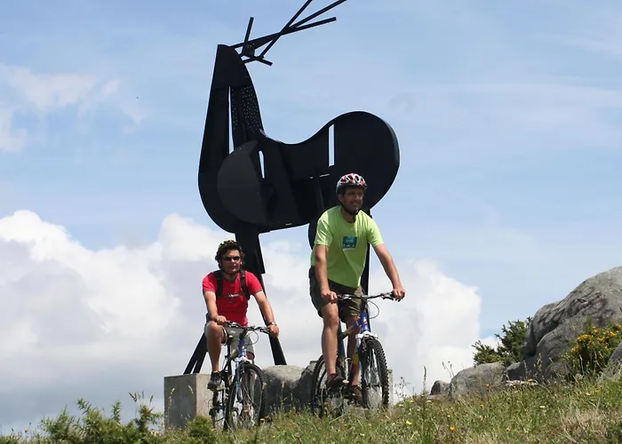 Casa Da Avo Quina - Seixas Ferienhaus