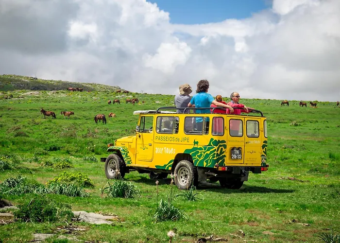 Casa Da Avo Quina - Seixas Coura (Caminha)