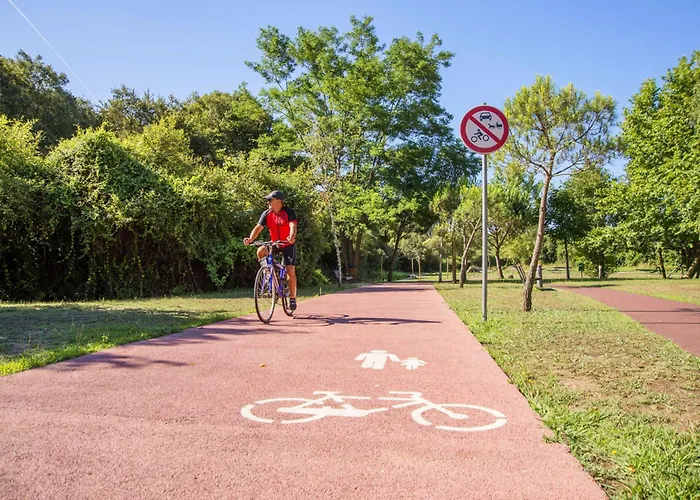 Casa Da Avo Quina - Seixas 펜션 *